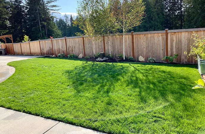 New_Lawn_Installation